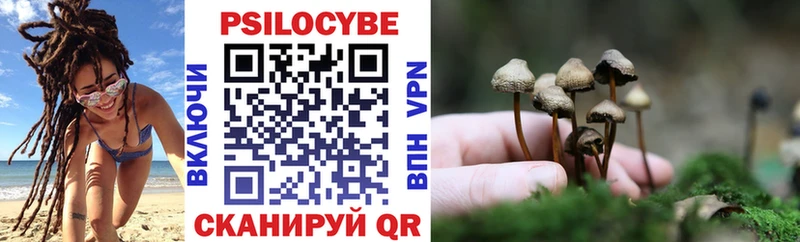 Псилоцибиновые грибы Cubensis  купить закладку  Коломна 